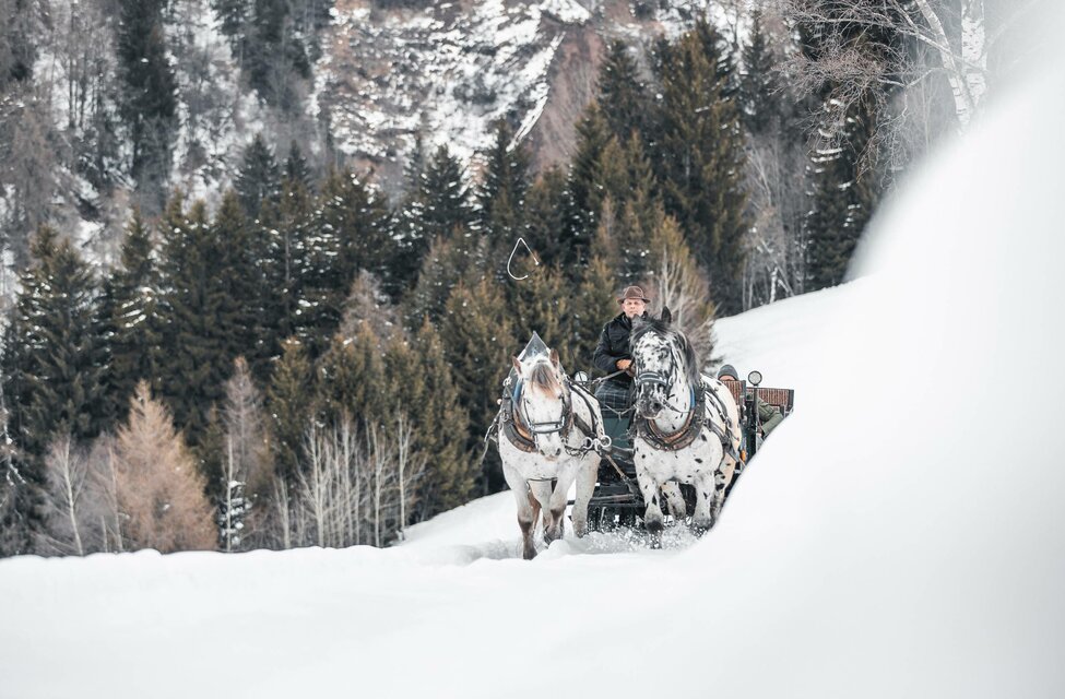 Winter experiences at the hotel Avelengo South Tyrol